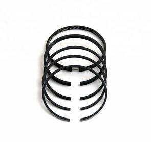 41158057  Piston Ring