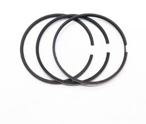 41158022  Piston Ring