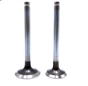 1004 Inlet & Ex Valve